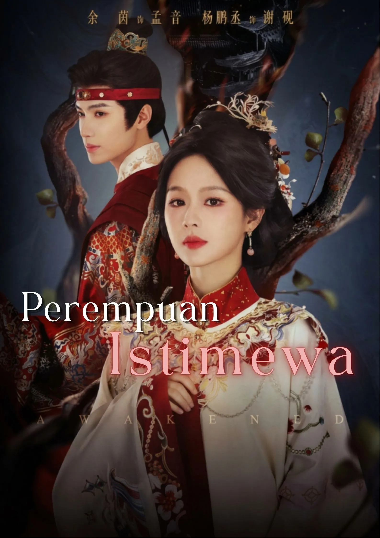 Perempuan Istimewa